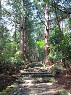 IMG_1952.JPG