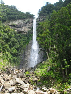 IMG_1992.JPG