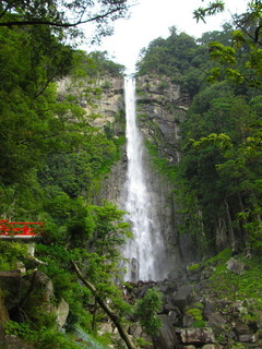 IMG_1996.JPG