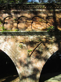 IMG_4895.JPG