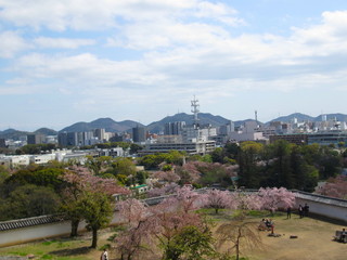IMG_5792.JPG