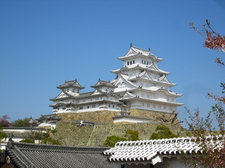 IMG_5837.JPG