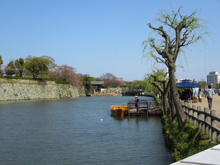 IMG_5846.JPG
