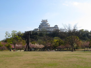 IMG_5941.JPG