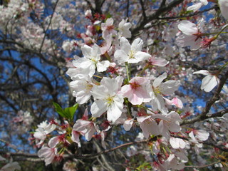 IMG_5942.JPG
